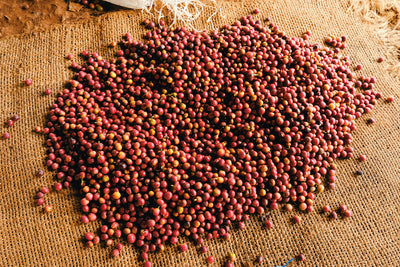 Kenya Duo - Ndima-ini AA and Kiawamururu AA - Green Coffee Samples
